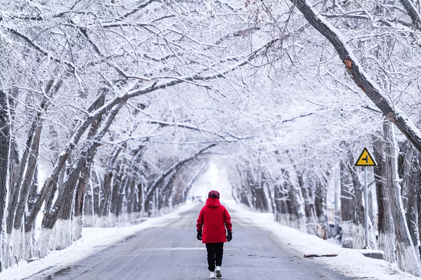 Holidays are coming (VCG / Contributor / Getty)