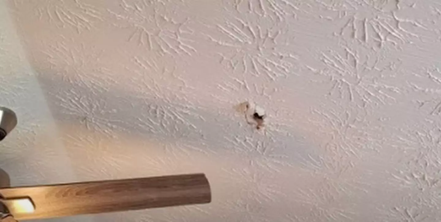 The meteorite is said to be older than Earth itself (University of Georgia / Submitted)