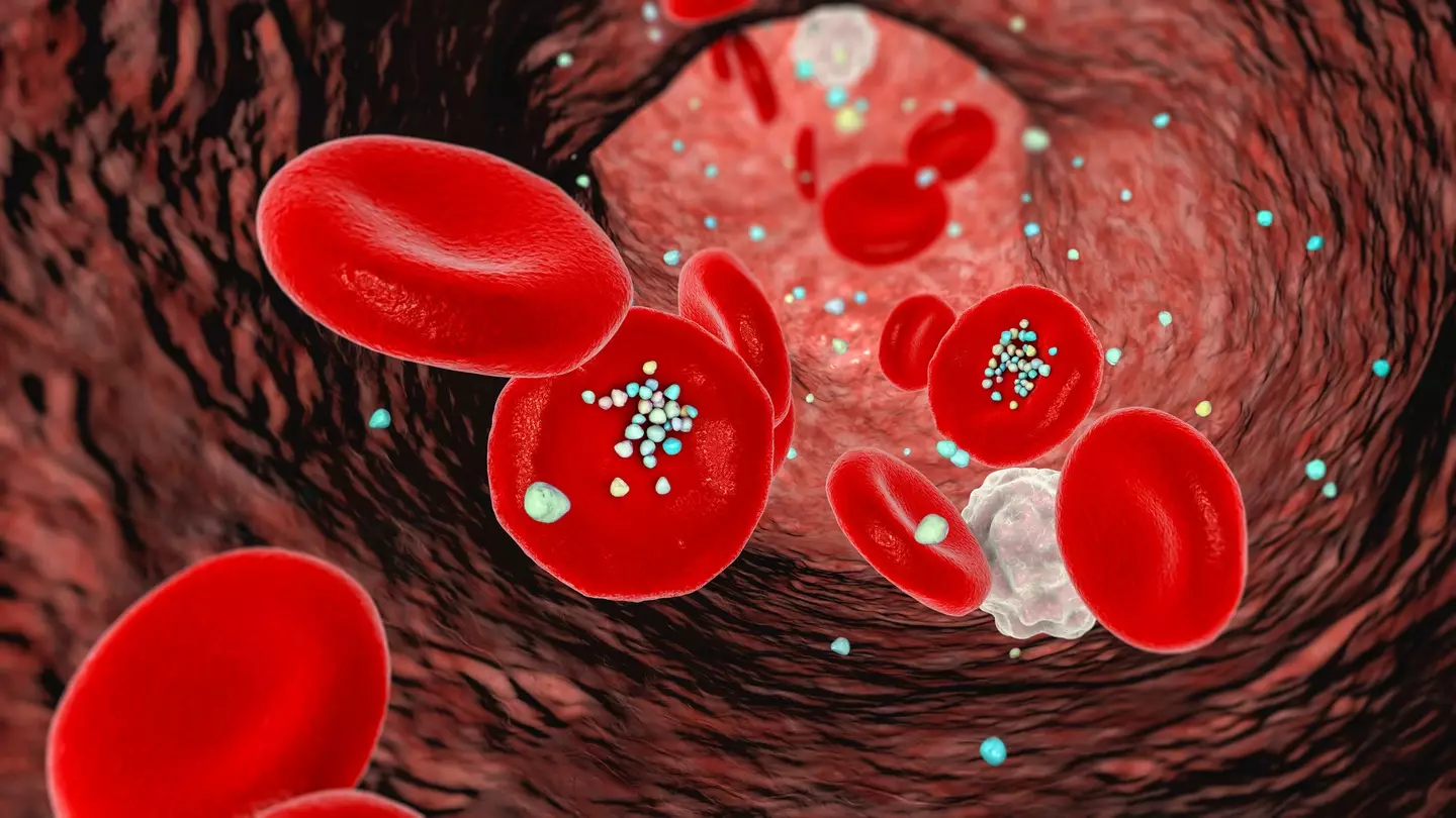 An illustration of microplastics in the bloodstream (Getty Images)