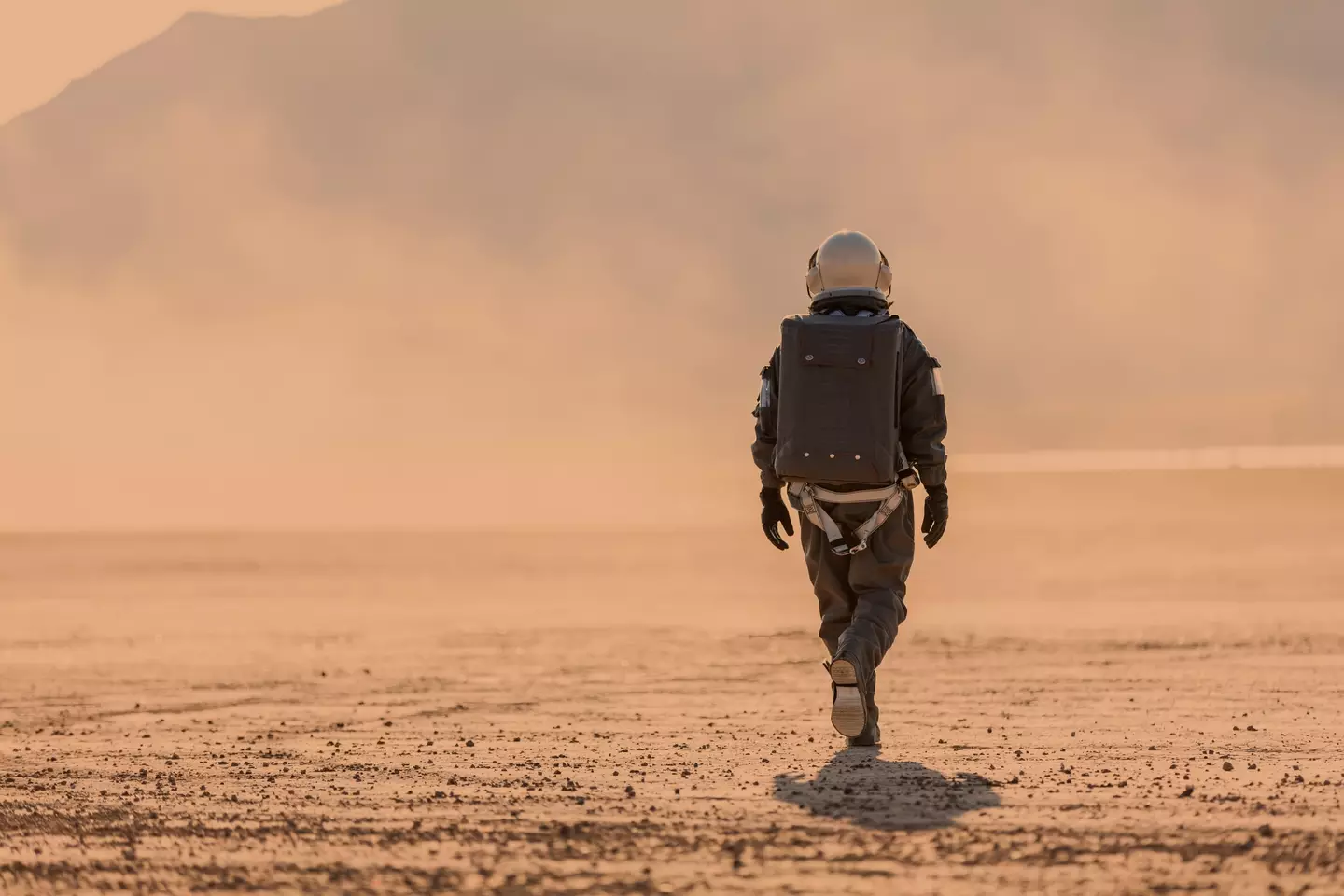 Musk has argued for a 'multi-planet civilization' that would allow humans to avoid Earth's future destruction (Getty Stock)