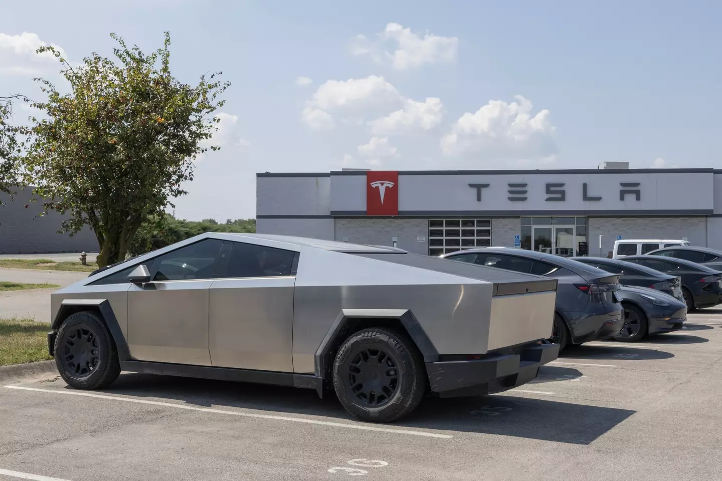 Tesla reportedly has $800,000,000 worth of unsold Cybertrucks that ‘nobody wants to purchase’ 3 Tesla's overall net profit is down 71% year-on-year. (jetcityimage/Getty)