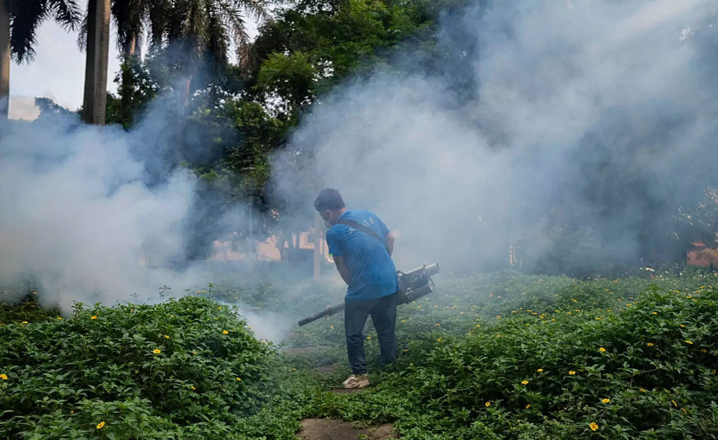 Authorities in Foshan are trying to tackle the spike in cases (VCG / Contributor / Getty)