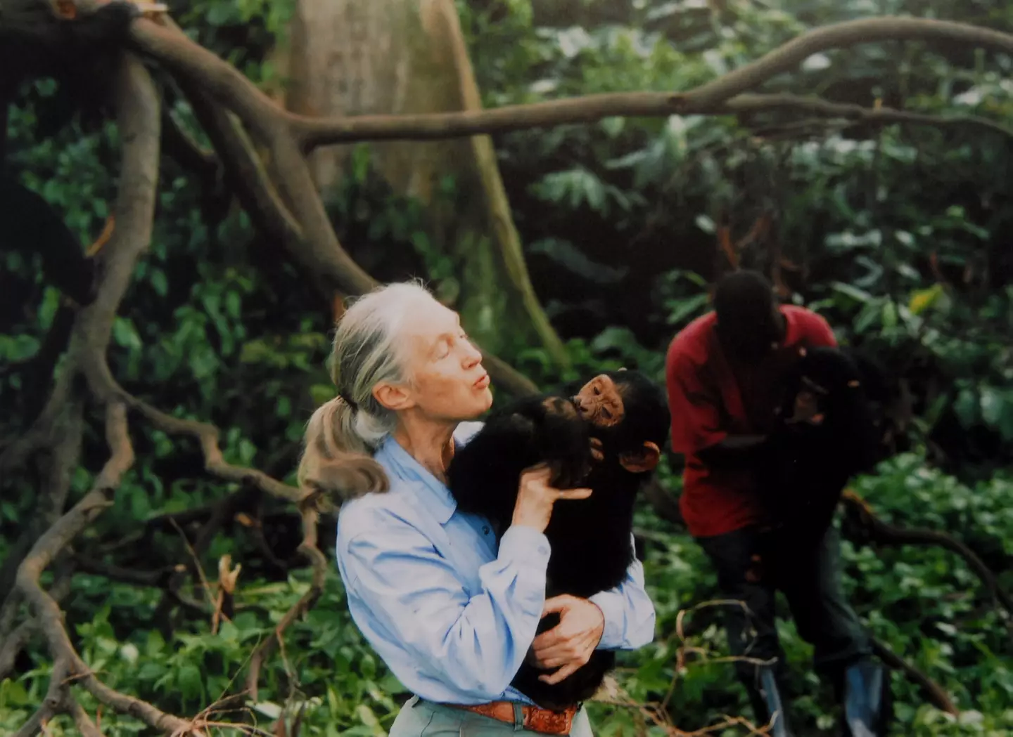 Jane Goodall passed away last week (Apic/Getty Images)