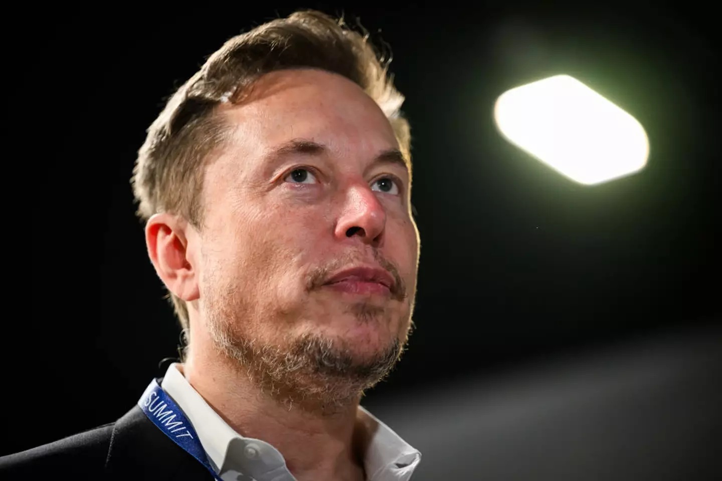 Elon Musk has exposed DMs with a Twitch streaming star (Leon Neal/Getty Images)