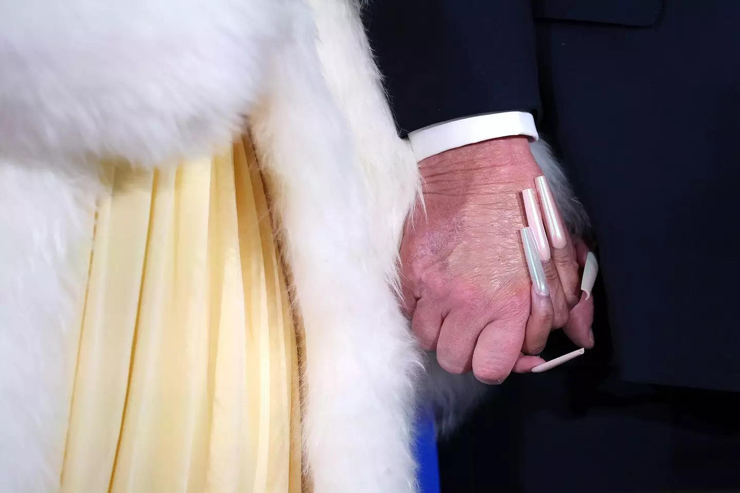 A close up of Minaj and Trump's hands has been doing the rounds on social media (Win McNamee/Getty Images)