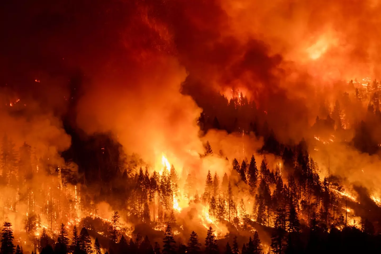 The fire tragically claimed the lives of 85 people (David McNew/Getty Images)