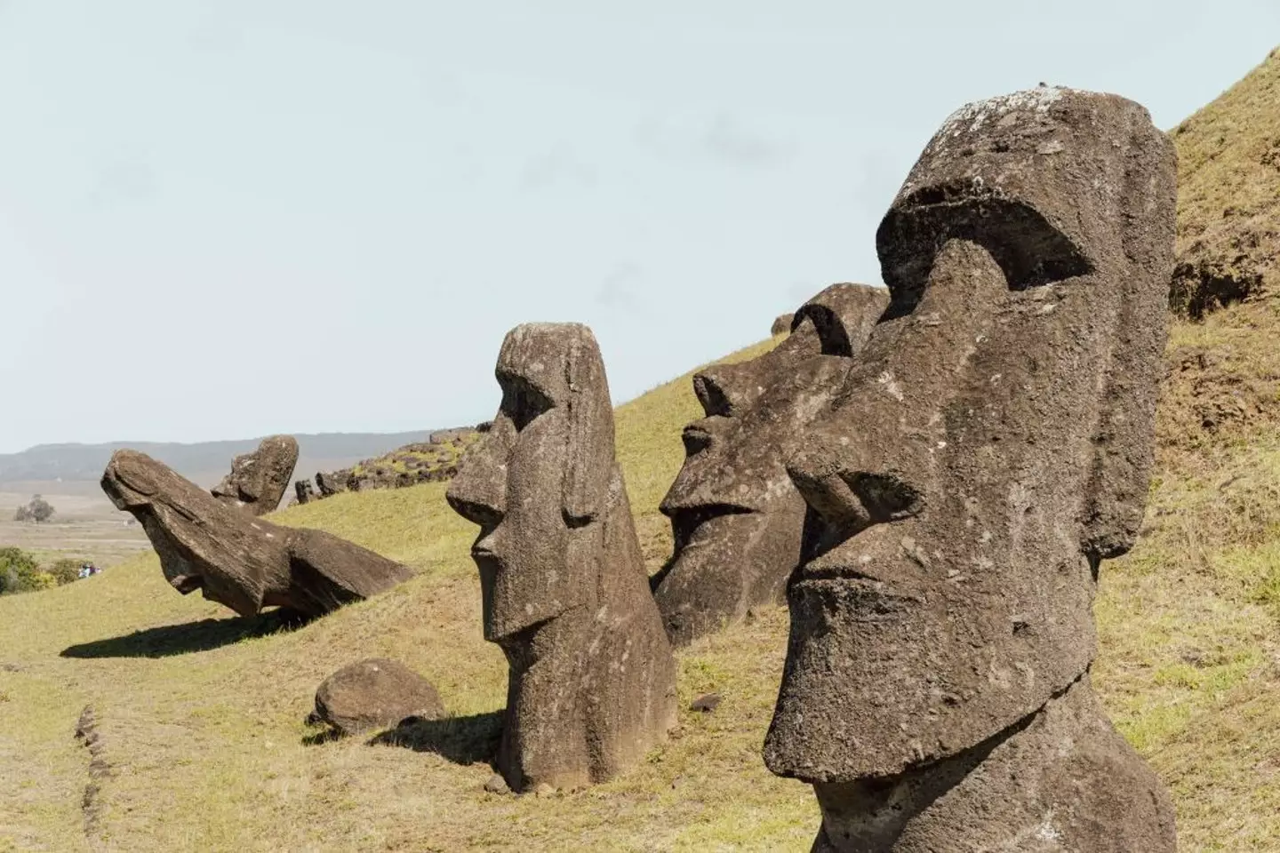 Scientists warn that Easter Island's iconic statues could be underwater in the coming years (Fabien Pallueau/NurPhoto via Getty Images)