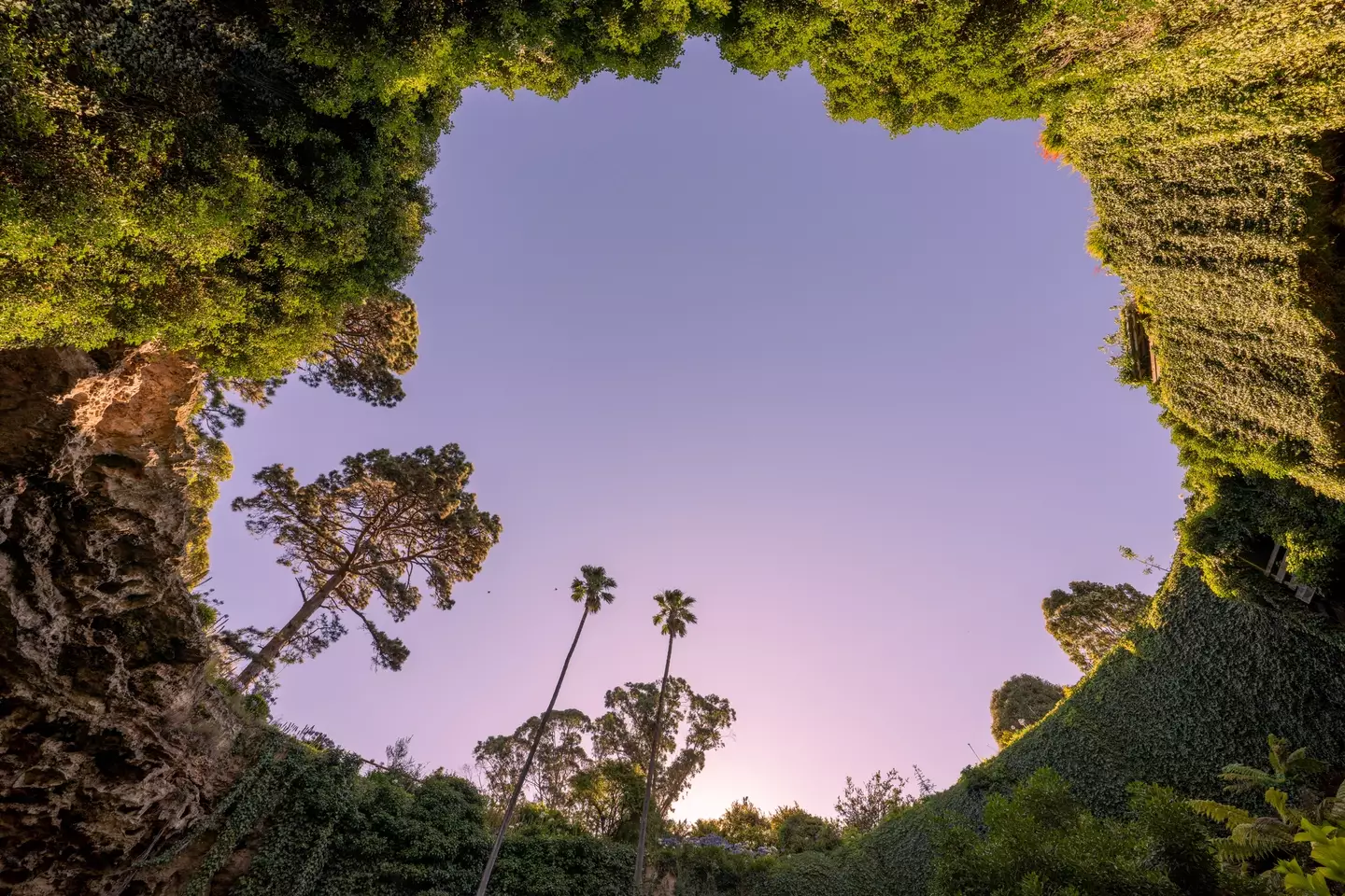 Sinkholes can provide a haven for plants to thrive (Nigel Killeen/Getty)