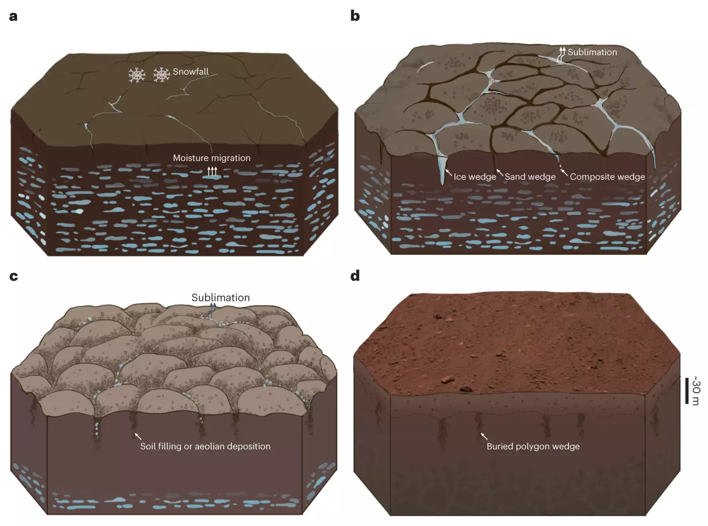 Model of the polygonal terrain formation process (Nature Astronomy)