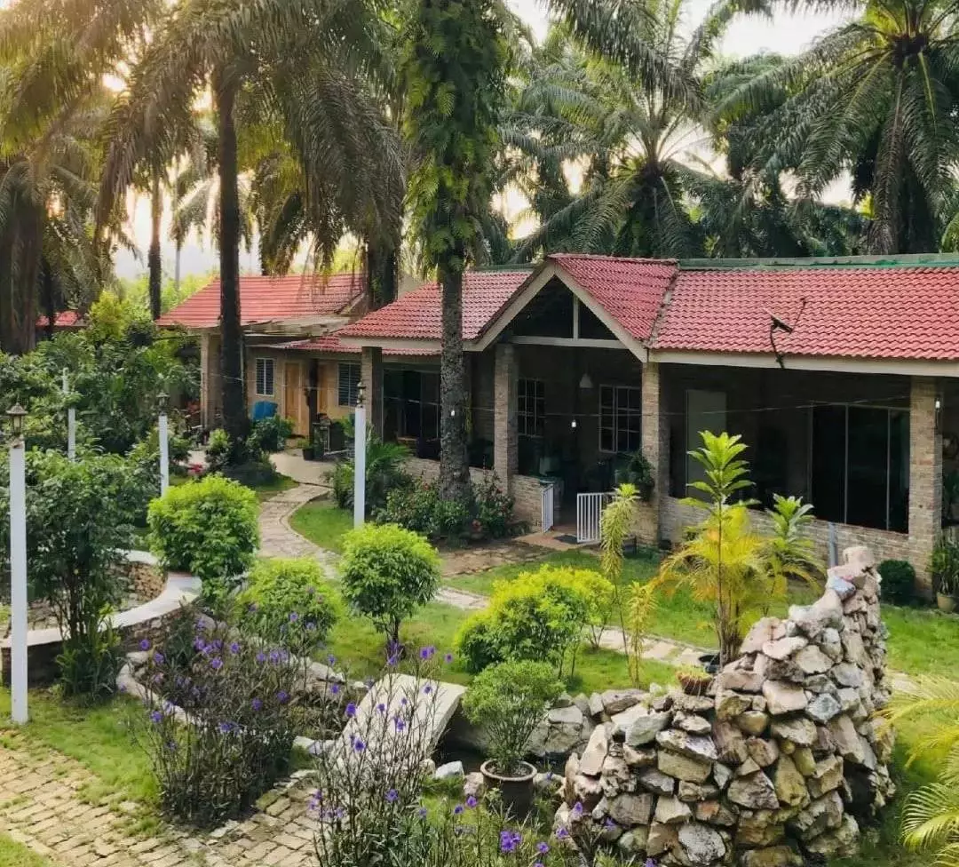 Youth retirement could be the latest viral trend for Gen Z (TikTok / @gopeng_sanctuary)