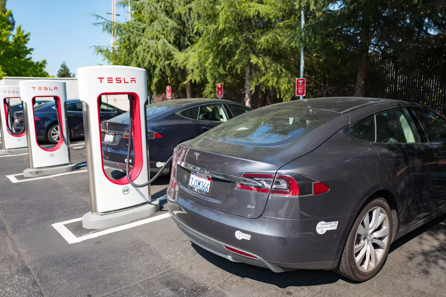 Zhang Yazhou maintains that Tesla is at fault (Smith Collection/Gado / Contributor via Getty)