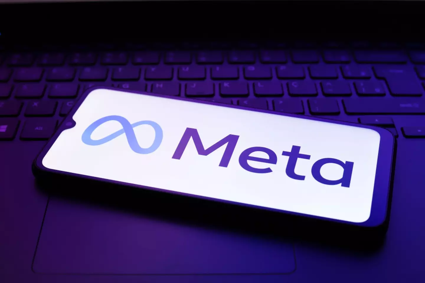 The world-streching cable would only further strengthen Meta's position near the top of the internet (Jaque Silva/NurPhoto via Getty Images)
