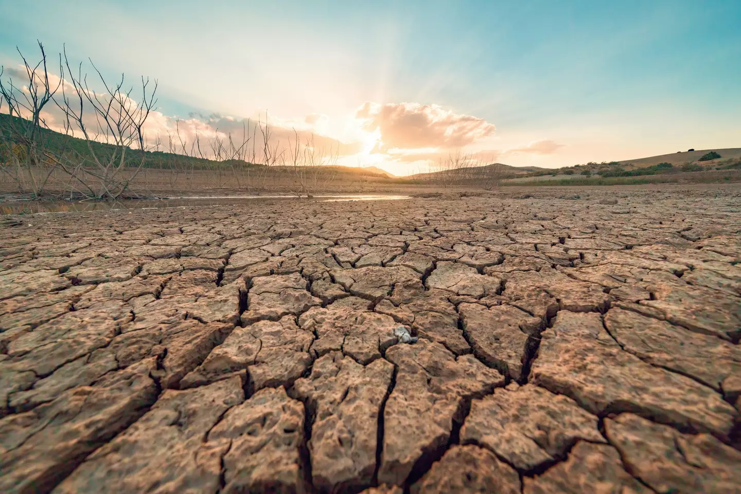 The effects of global warming are leading to wildfires, crop damage and extreme weather. (Daniel Garrido/Getty)