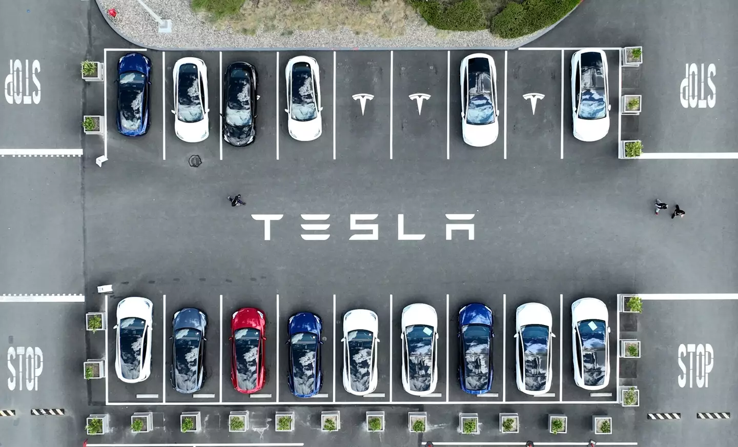 Tesla reportedly has $800,000,000 worth of unsold Cybertrucks that ‘nobody wants to purchase’ 10 Tesla could be looking for a new CEO (Justin Sullivan/Getty Images)