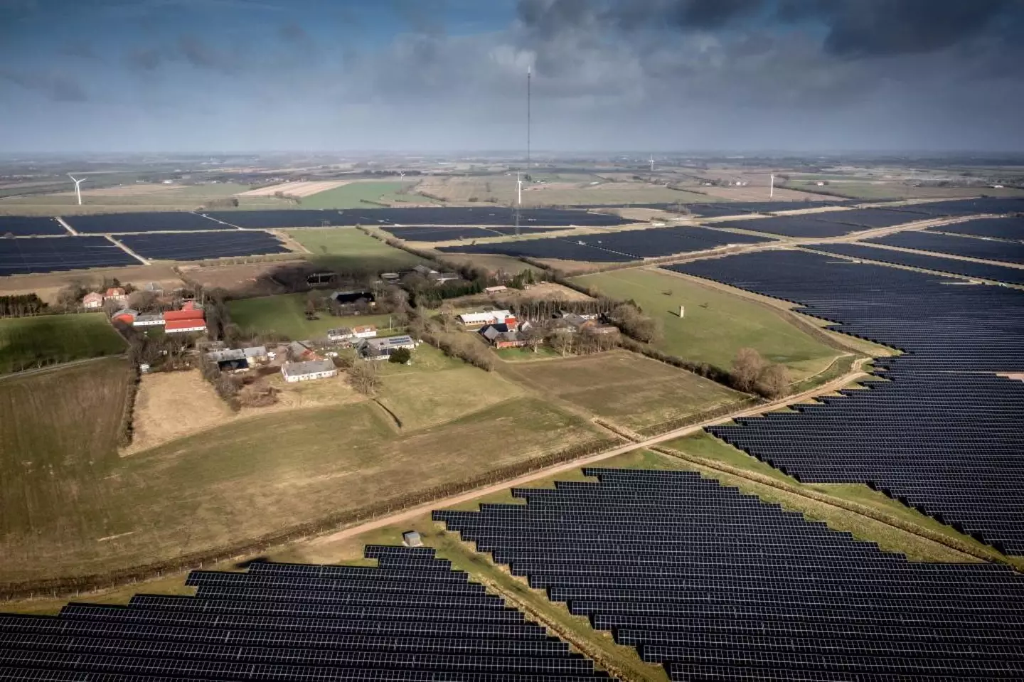 Denmark has the highest share of renewable energy usage across the EU (Mads Claus Rasmussen/Ritzau Scanpiz/AFP via Getty Images)