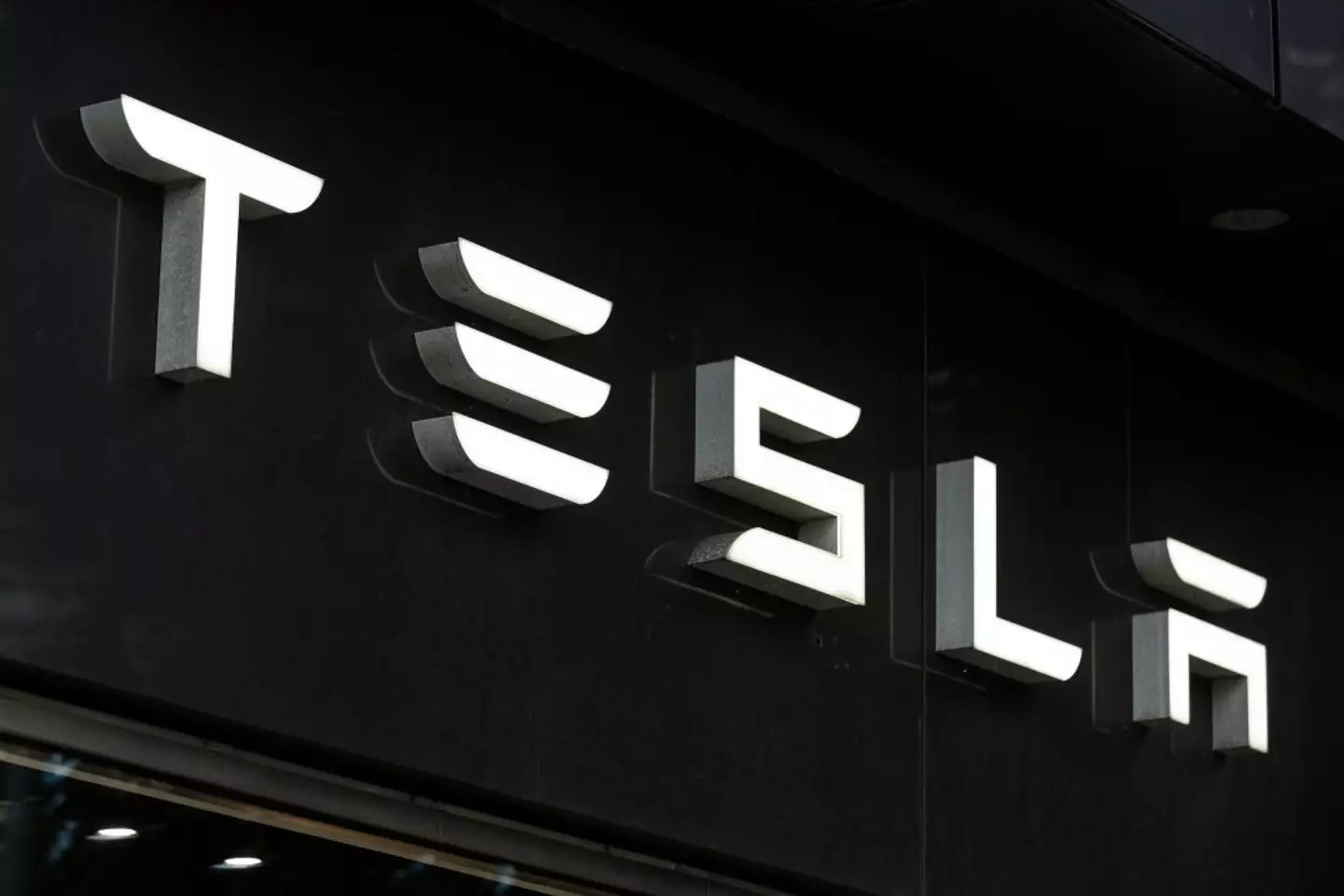 Tesla claimed that it couldn't find the missing data, but one hacker sourced it in 'minutes' (Karol Serewis/SOPA Images/LightRocket via Getty Images)