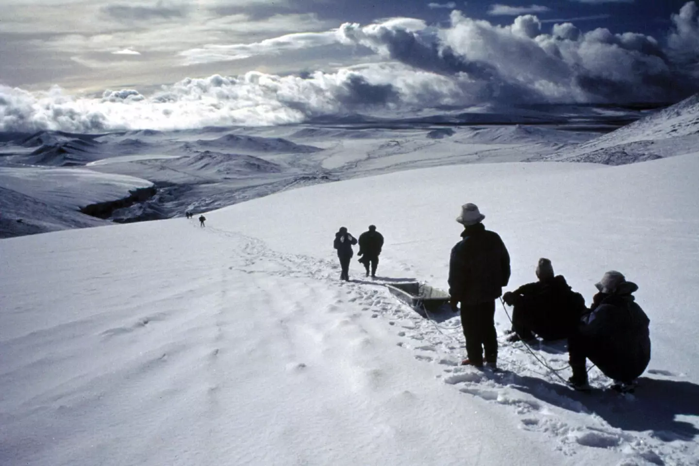 Scientists have since used DNA extracted the ice to determine how viruses adapt to changing climates (Byrd Polar and Climate Research Center)