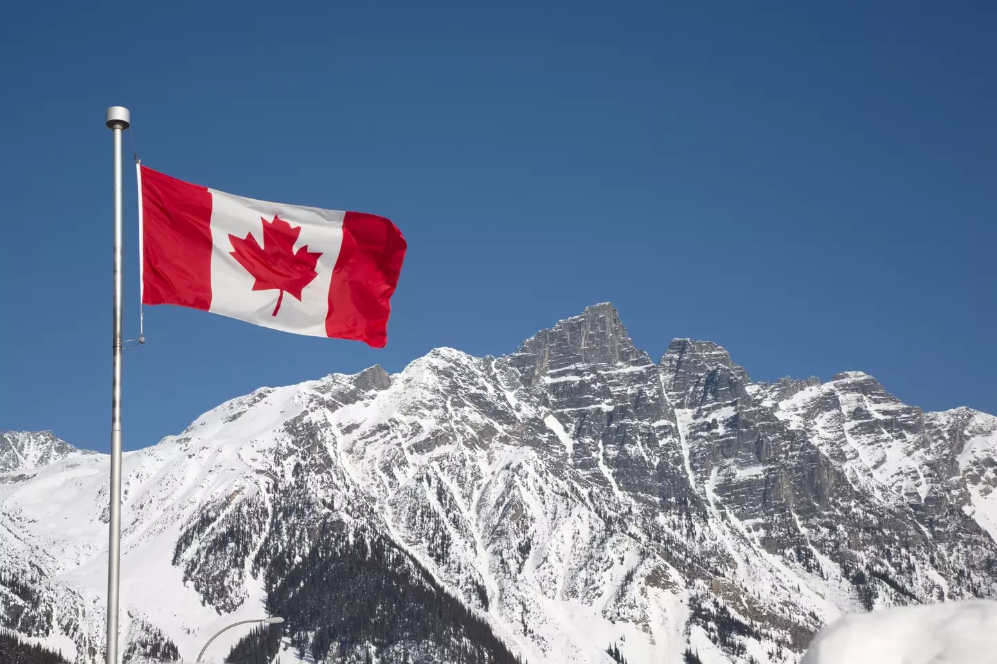 The Great White North is calling Americans (Grant Faint / Getty)
