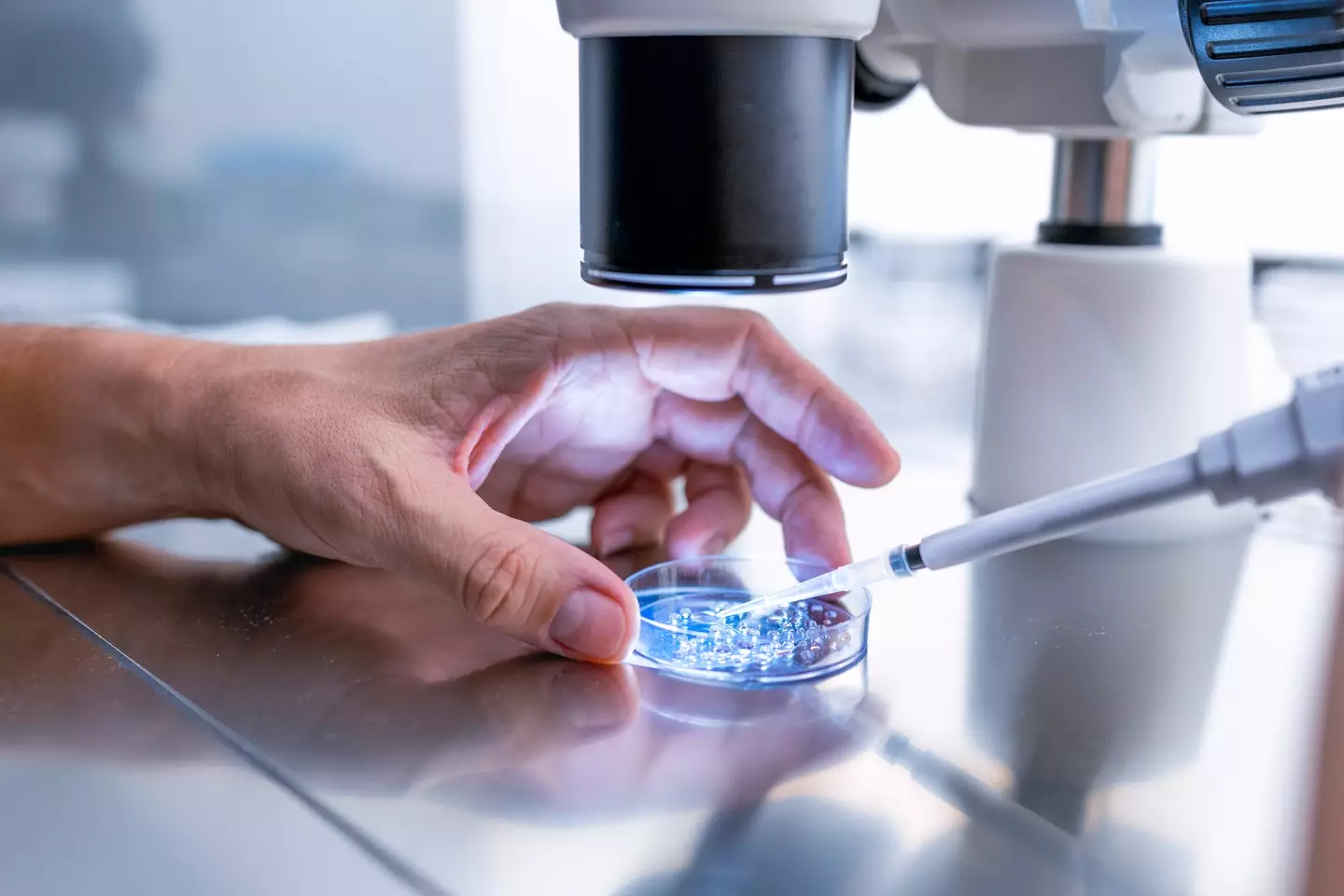 The new technology will be a breakthrough for treating neurological disorders (Carlos Duarte/Getty Images)