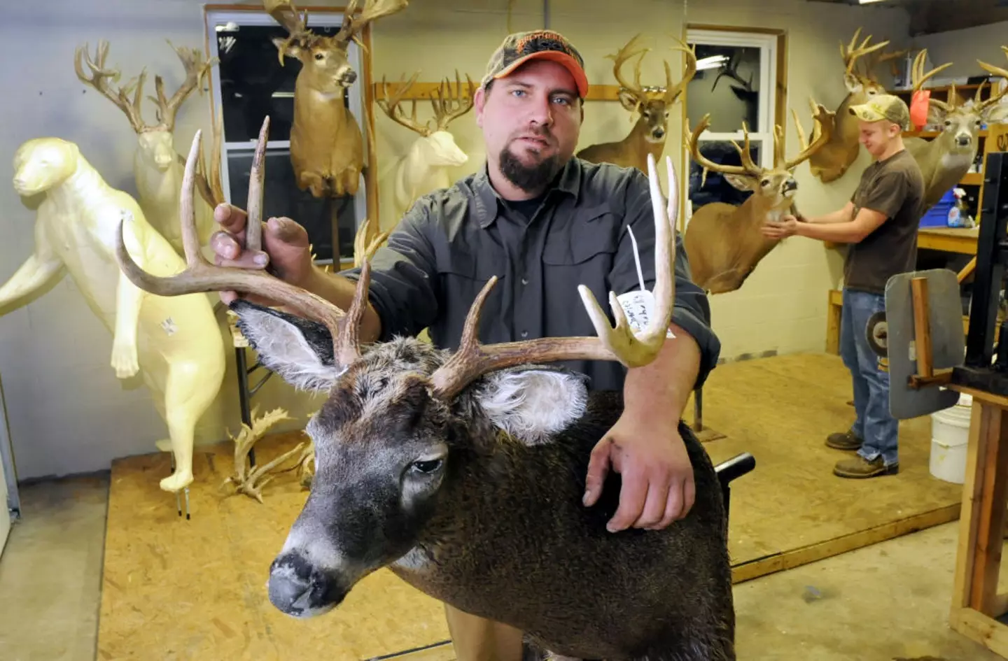 Hunters have been warned about the dangers of CWD (MediaNews Group/Reading Eagle via Getty Images / Contributor / Getty)