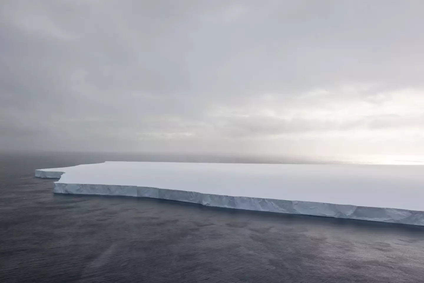 Handout / Handout / Getty