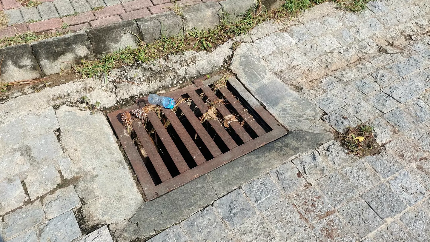 Dumping coffee down a public drain can have a shocking impact on the environment (Getty Stock)