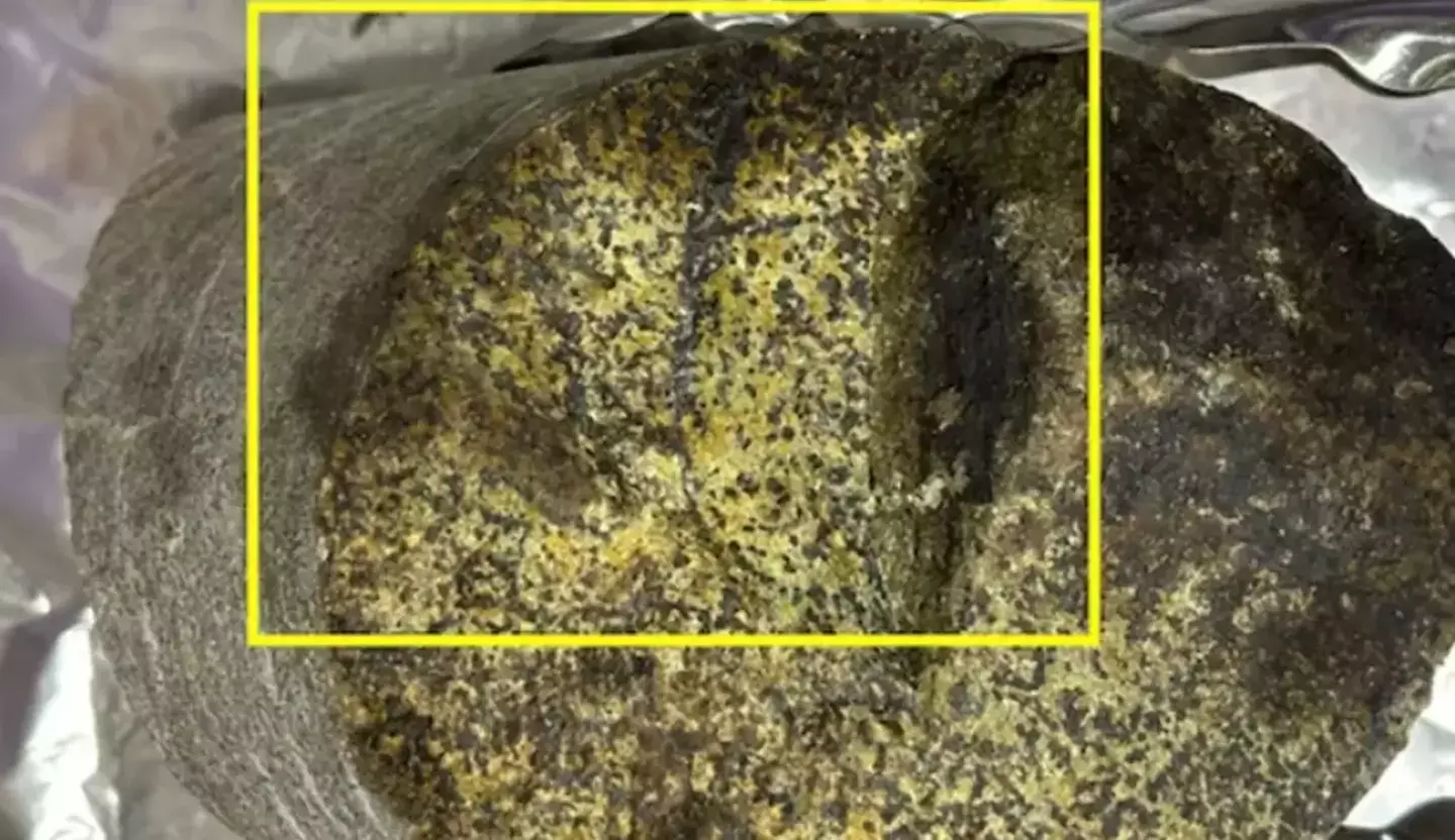 It's said to be a very 'exciting' discovery (Y. Suzuki, S. J. Webb, M. Kouduka et al. 2024/ Microbial Ecology)