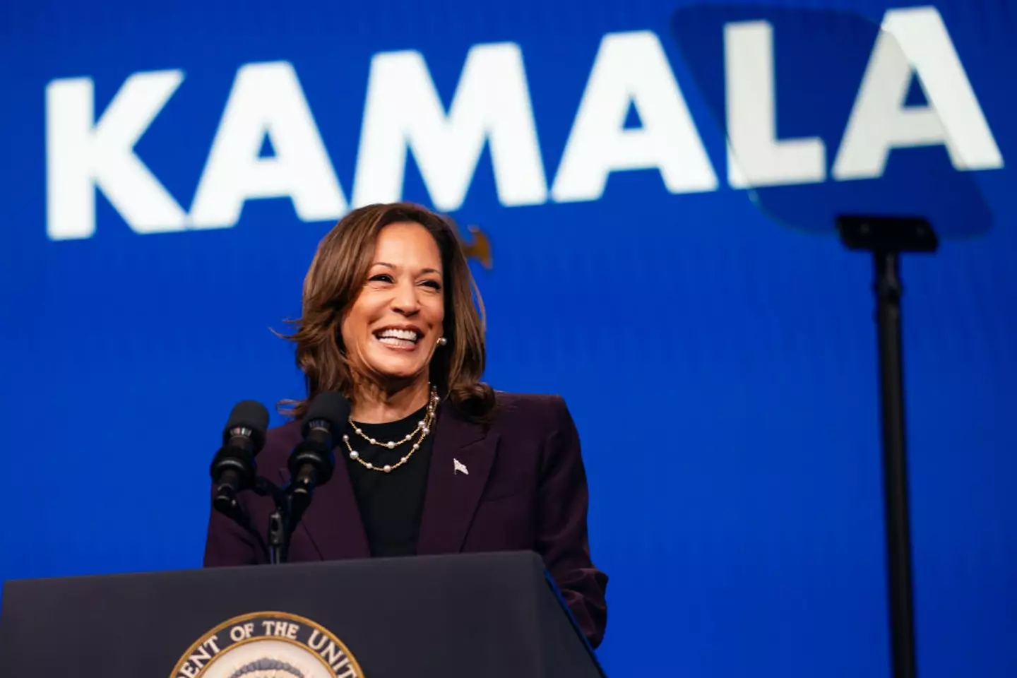 Vice President Kamala Harris is now in the running to be the next president of the United States (Montinique Monroe/Getty Images)