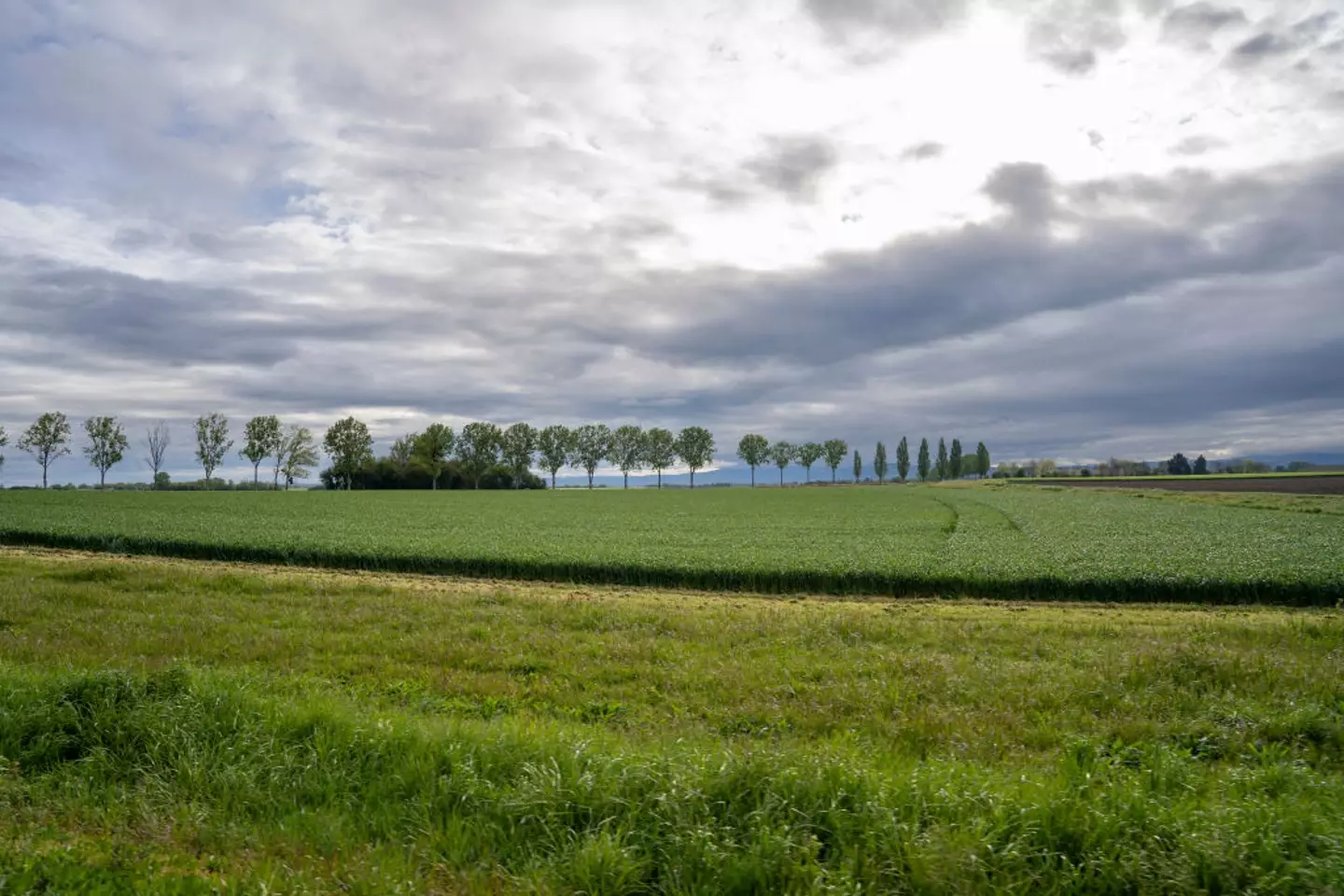 Auvergne officials have prevented Dupont from mining his land, and local environmentalists have expressed concerns about disruption (Antoine Boureau/Hans Lucas/AFP via Getty Images)