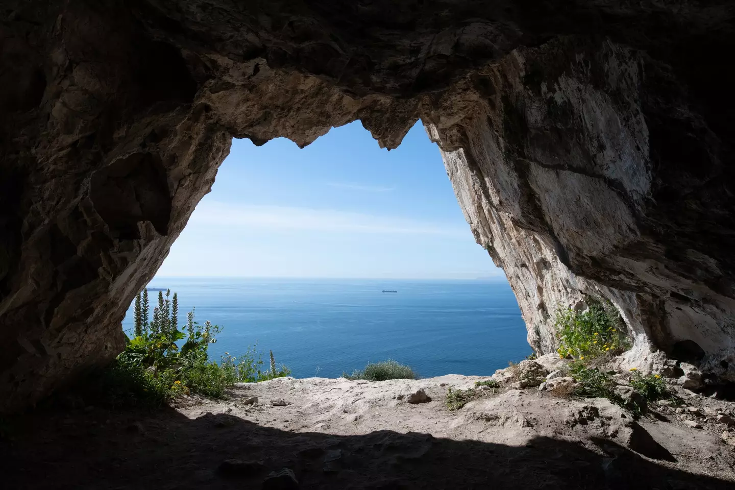 Research indicates that Neanderthals occupied the area in Gibraltar for roughly 100,000 years (cmspic/Getty)