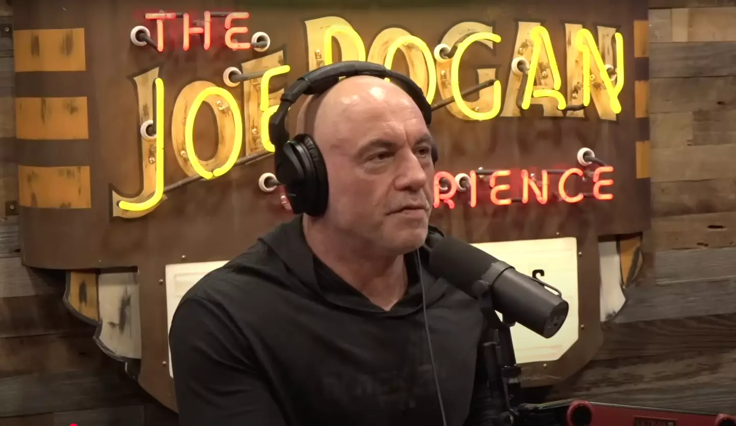 The podcaster shared his predictions in 2024 (YouTube/@joerogan)