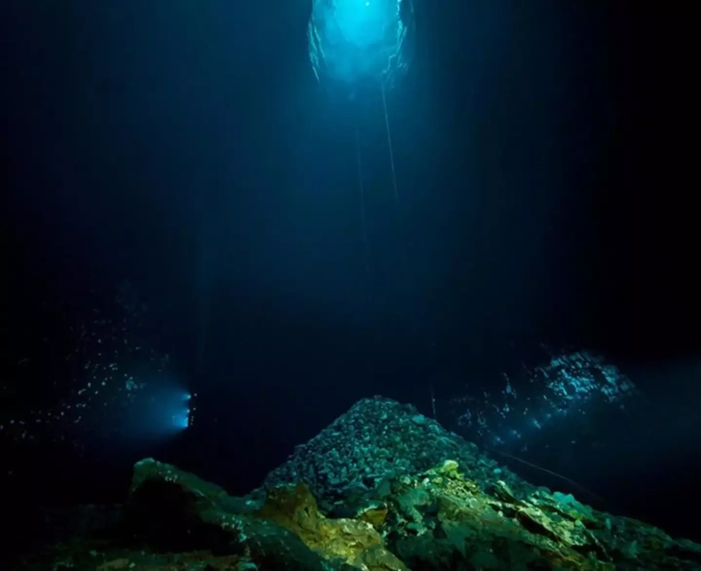 NeighborEnabler/Reddit