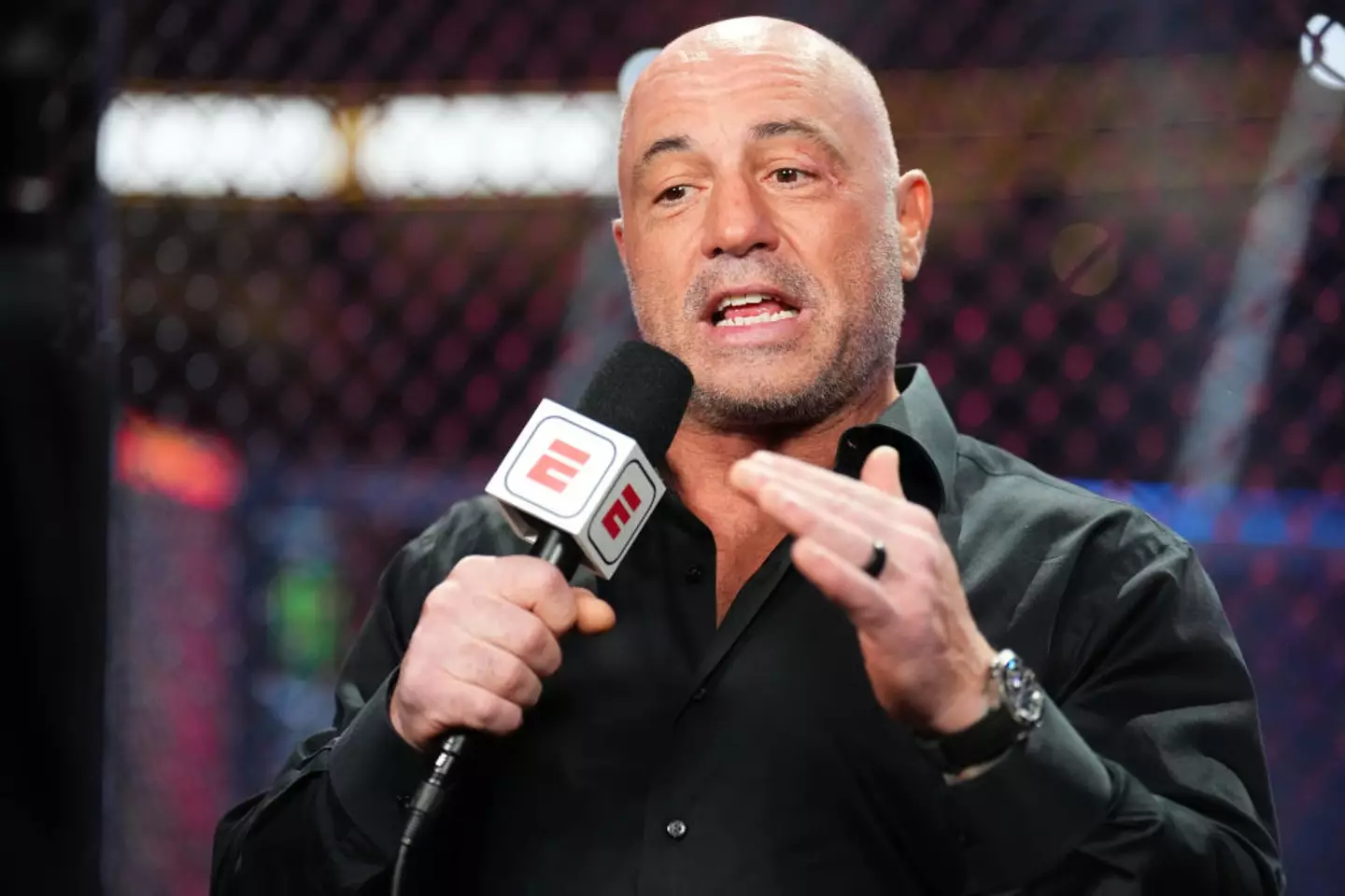 PewDiePie has branded Rogan 'very dumb' (Chris Unger/Zuffa LLC via Getty Images)