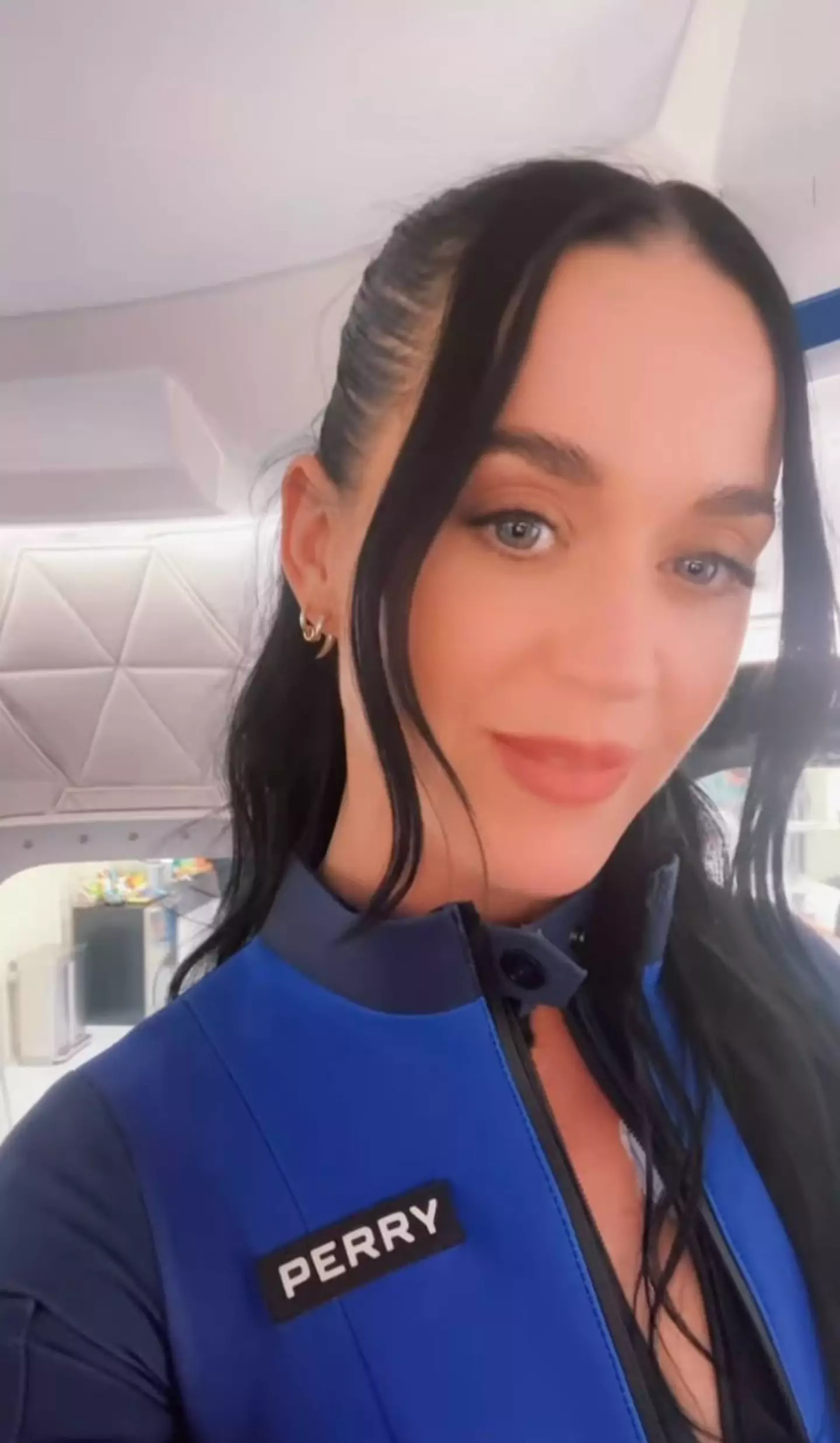 Not everyone can afford the 11-minute trip to the stars (Instagram / Katy Perry)