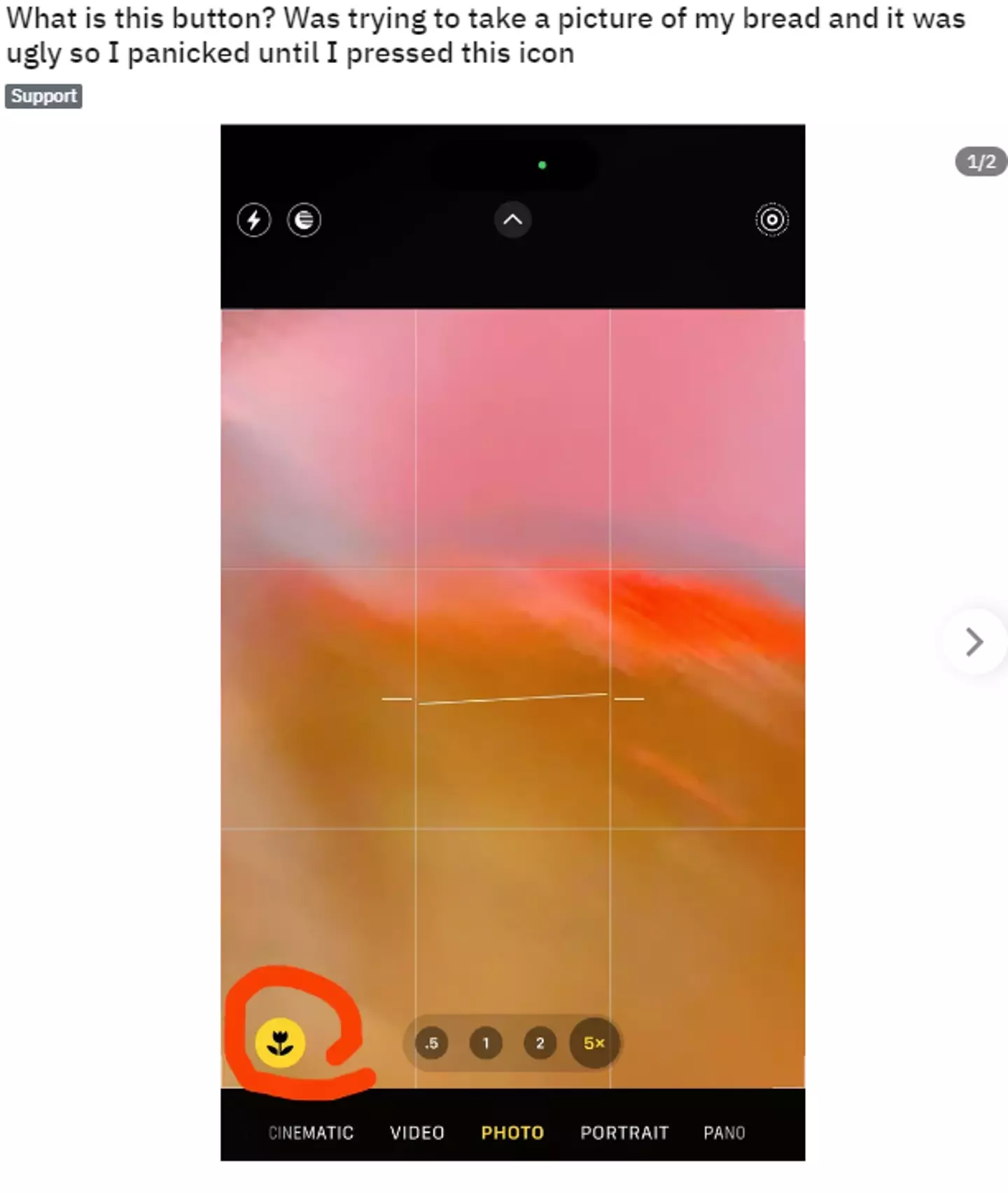 A Reddit user needed help figouring out a mystery icon on an Apple iPhone.