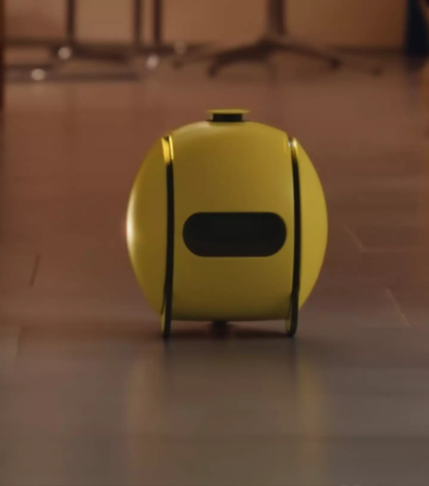 Samsung can be anything from a pet minder to a home workout assistant / Samsung