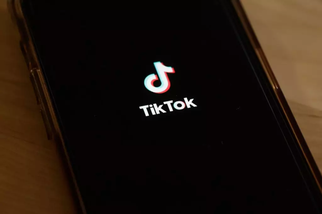 TikTok has launched a bizarre new app, although it's only available in select parts of the world (Michael M. Santiago/Getty Images)