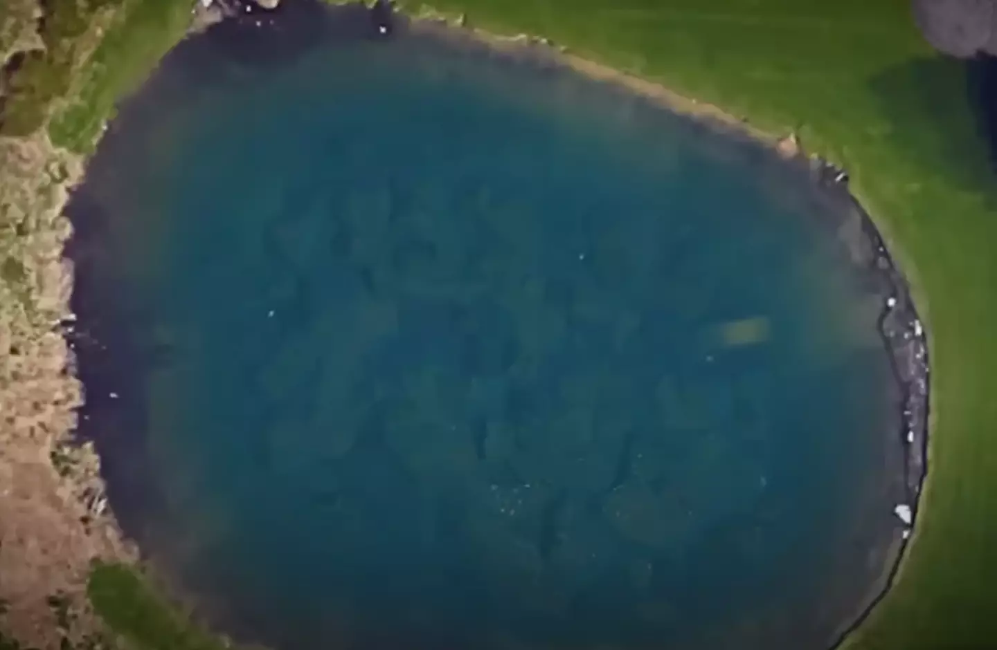 A car could be seen on Google Maps submerged in a pond (Google Maps)