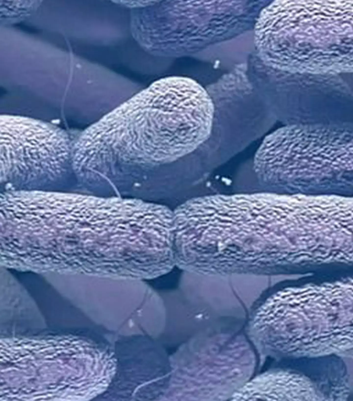 Microbiome journal