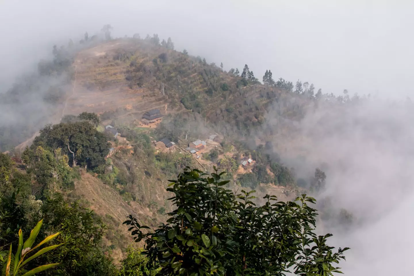Radiation fog is caused when leftover water particles in the air mix with chemicals and dust (Jon G. Fuller/VW Pics/Universal Images Group via Getty Images)