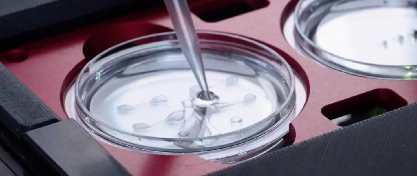 Conceivable Life Sciences has automated the ICSI process (Conceivable Life Sciences)