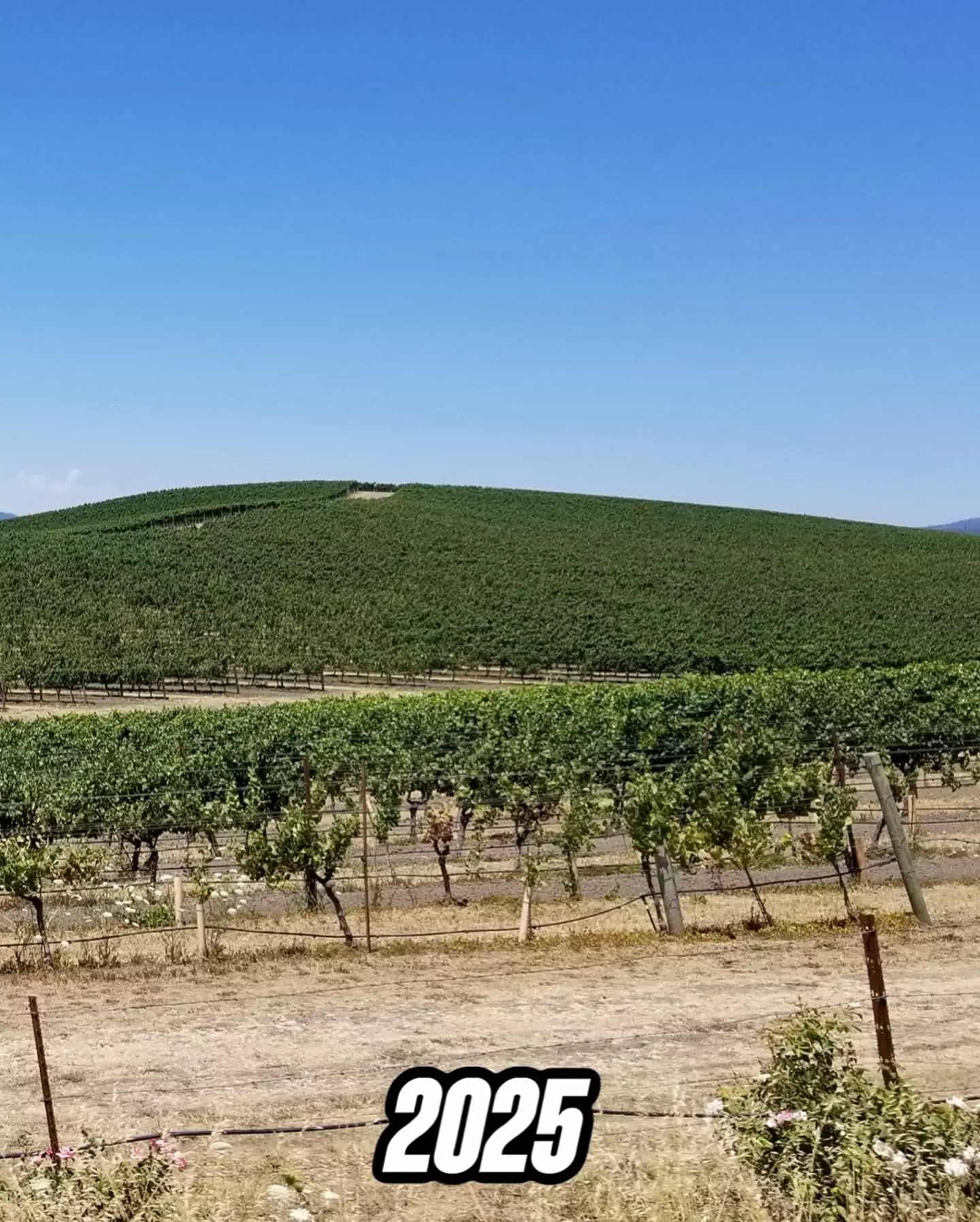 One comment indicates that the 'Bliss' hill was just grass for only a short period of time, so O'Rear captured it perfectly (Instagram/insidehistory)