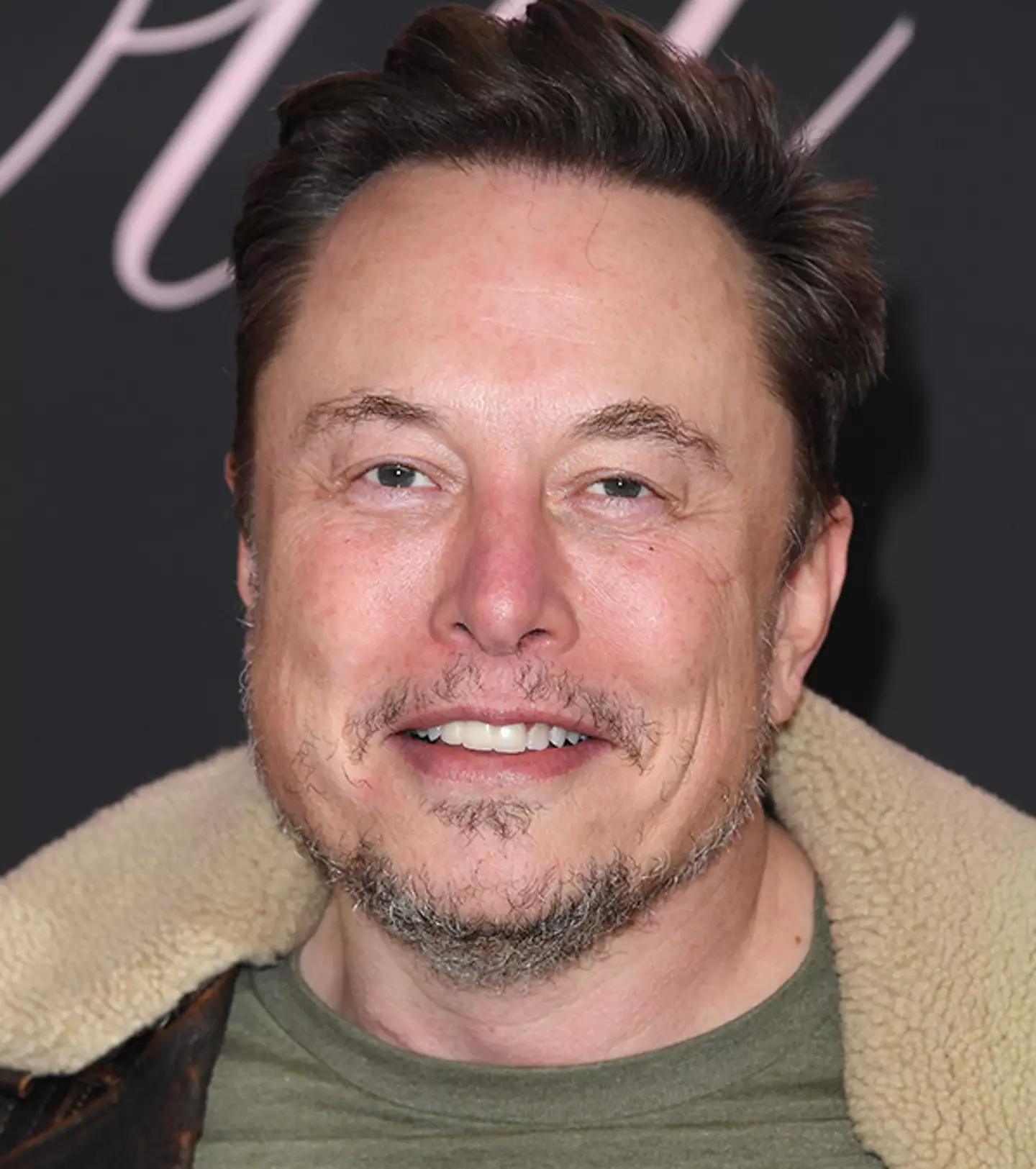 Elon Musk has had quite the collection of cars over the years / Steve Granitz / Contributor / Getty