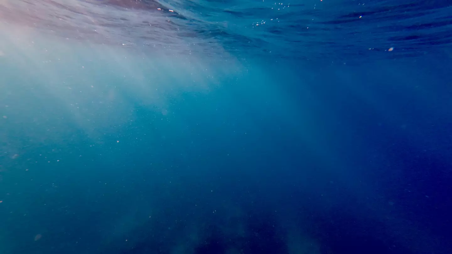 The man dropped his GoPro into the ocean (DimanDiver/Getty Images)