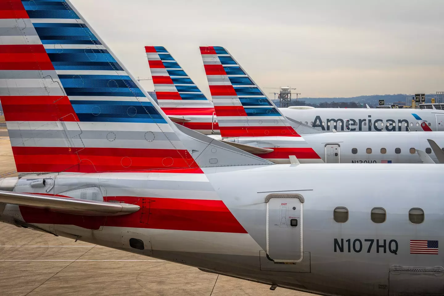 Gate lice are a growing problem for airlines (J. David Ake/Getty)