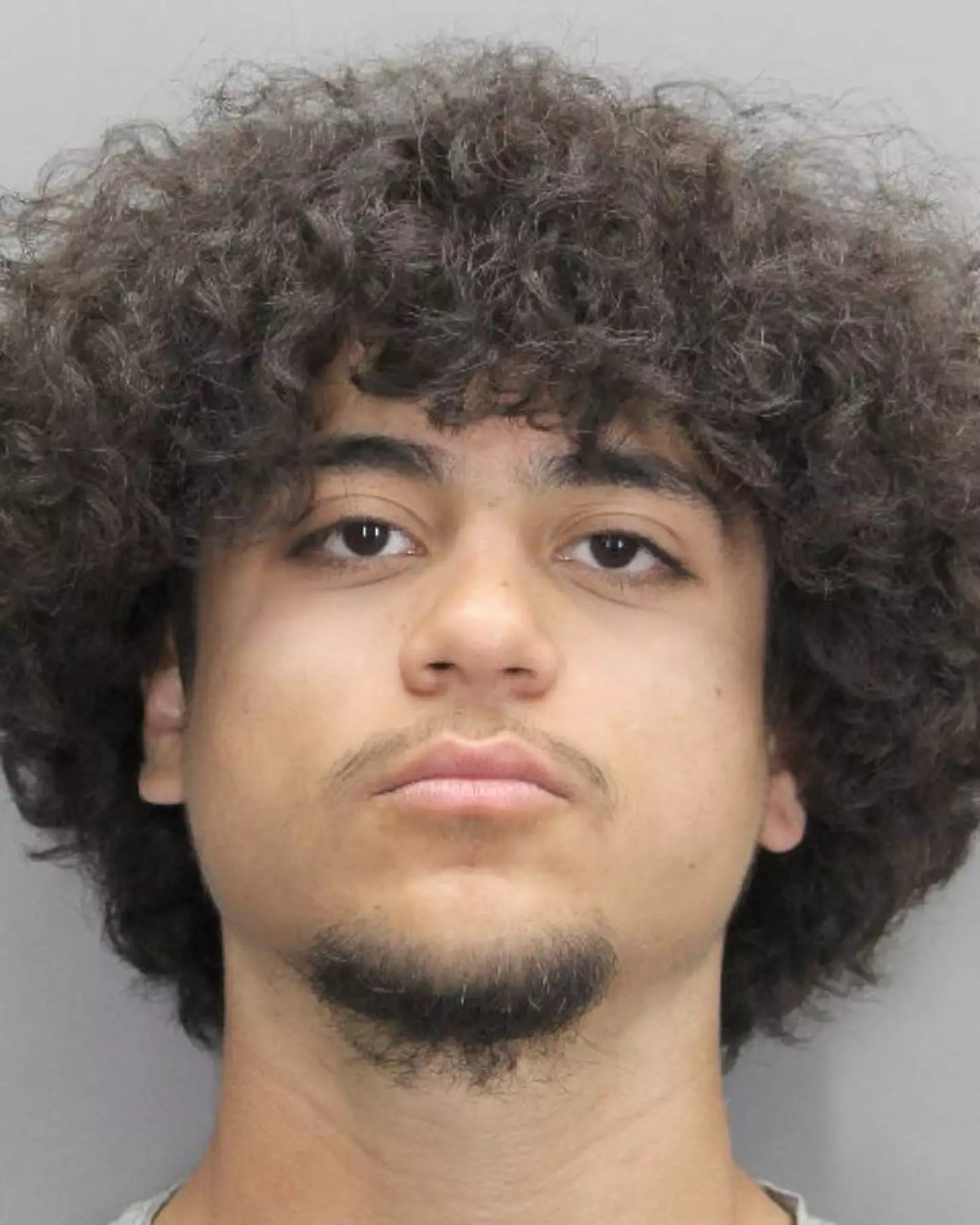 Kianmehr Shirinipaziziba has been charged with second-degree murder (Herndon Police Department Facebook)