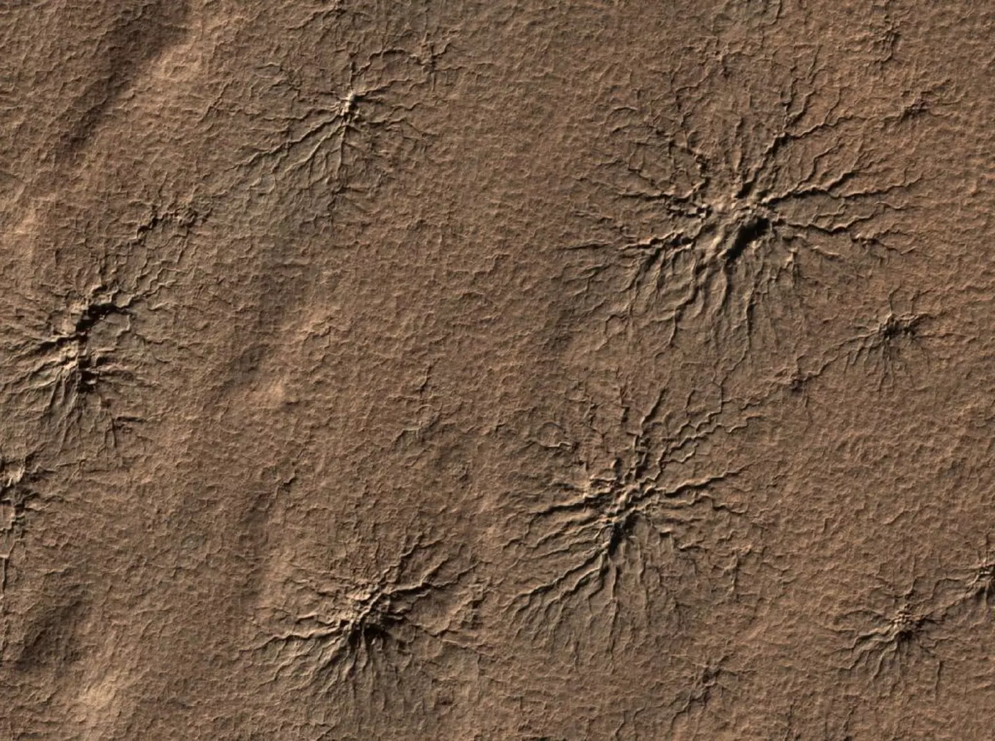 Spider-like cracks in the soil are known as araneiforms / Universal History Archive / Contributor  / Getty
