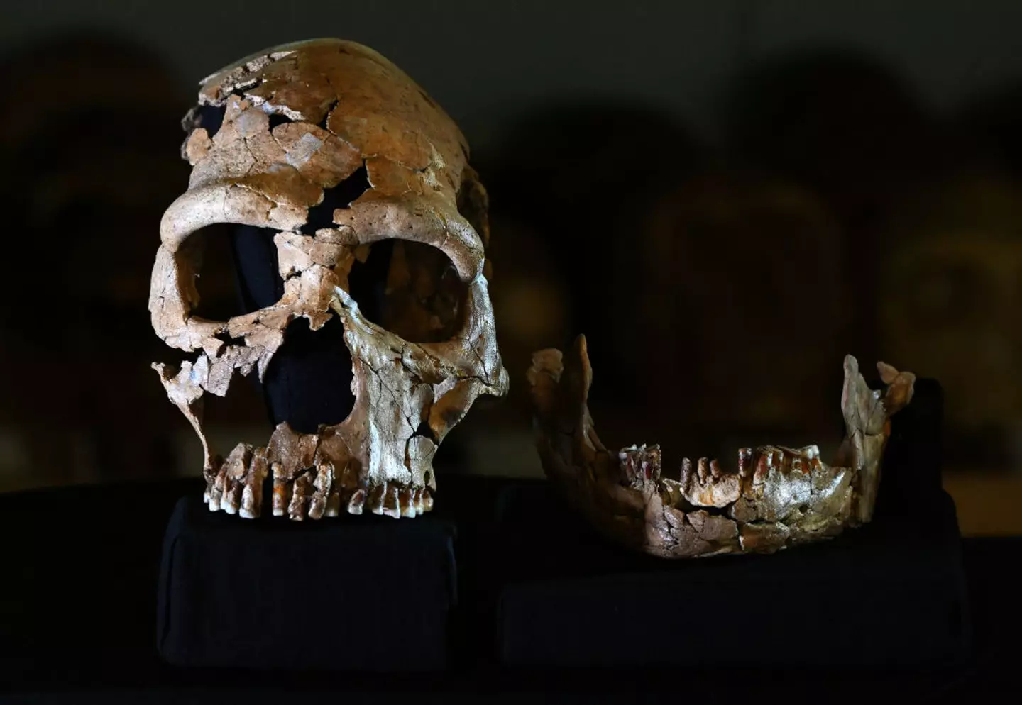 JUSTIN TALLIS / Contributor / Getty