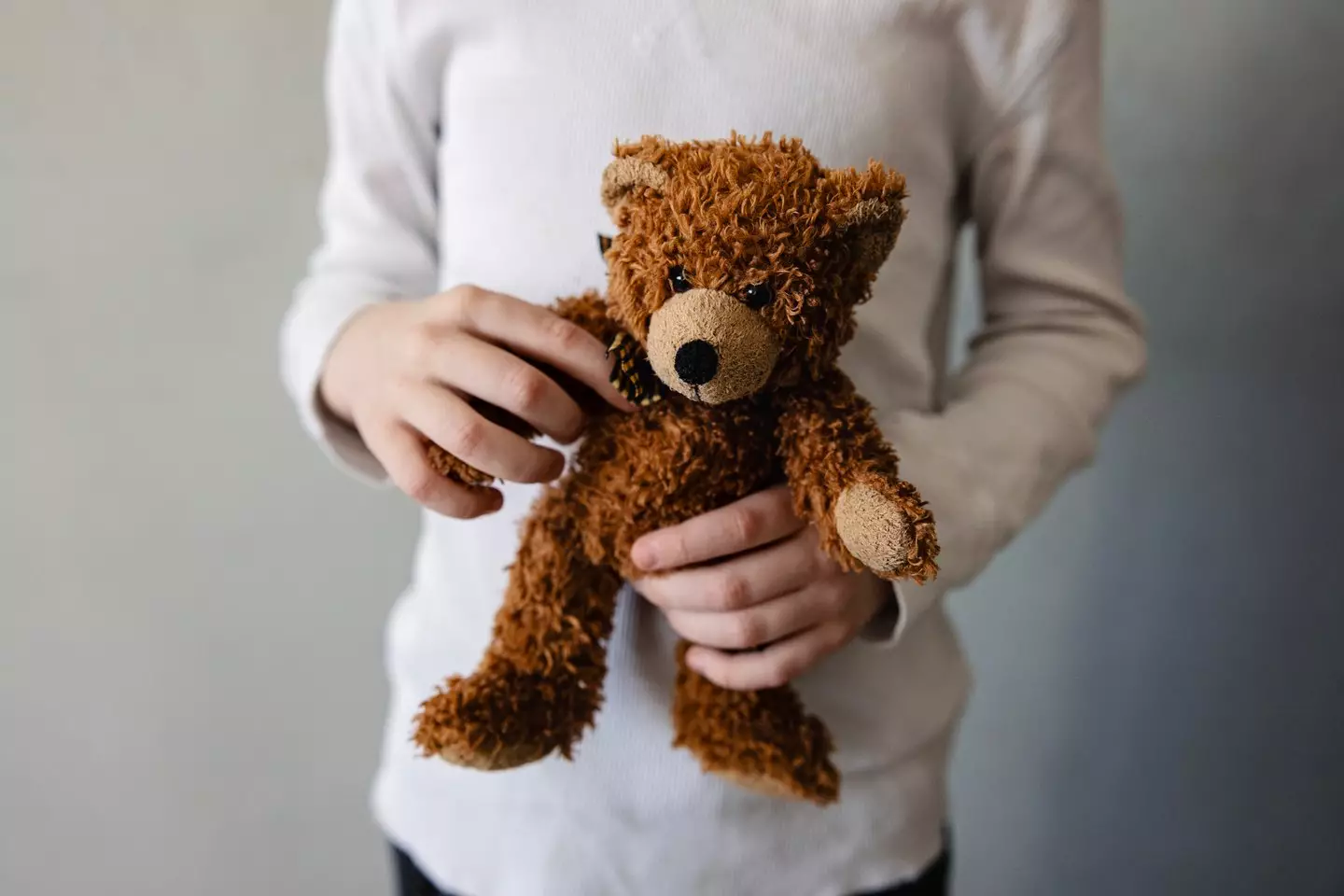 One toy used in the investigation was an AI-enabled teddy bear, which has since been pulled from shelves (mrs/Getty Images)