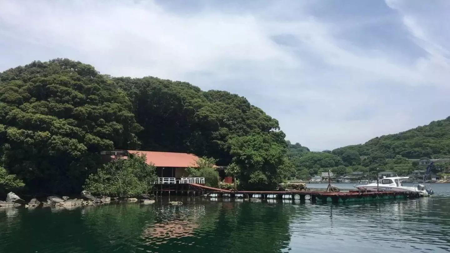 Another private island for sale at $750,000 (Aqua Styles)